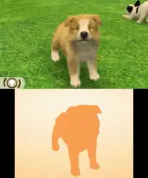 Image n° 1 - screenshots : Nintendogs + Cats - French Bulldog & New Friends